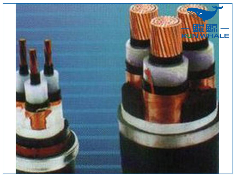 河南太平洋電纜淺談想要家裝電線不被坑，那就看好這五步