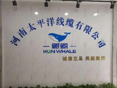 牛商爭霸中段總結，河南太平洋線纜賦能發展